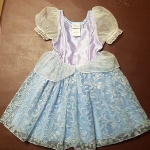 Disney Cinderella costume